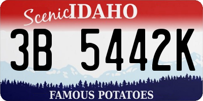 ID license plate 3B5442K