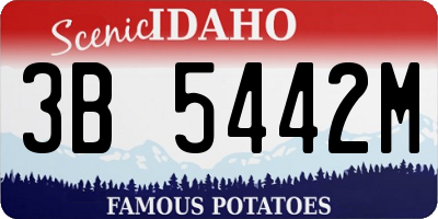 ID license plate 3B5442M