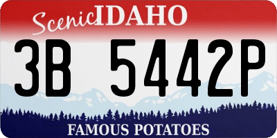 ID license plate 3B5442P