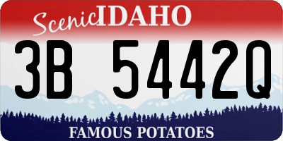 ID license plate 3B5442Q