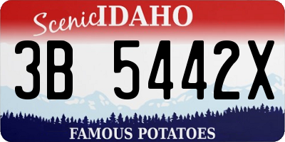 ID license plate 3B5442X