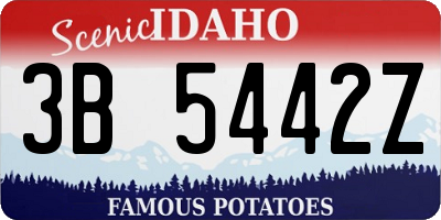 ID license plate 3B5442Z