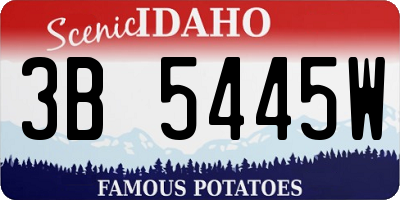 ID license plate 3B5445W
