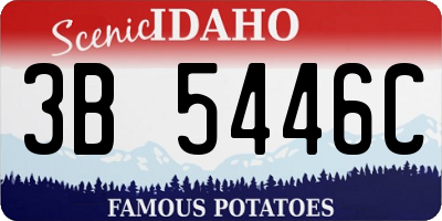 ID license plate 3B5446C