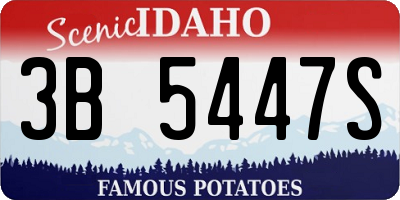ID license plate 3B5447S