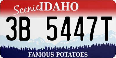 ID license plate 3B5447T