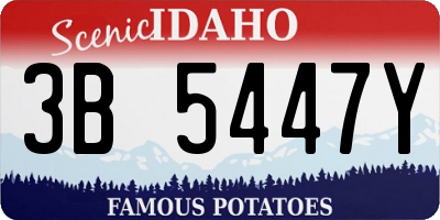 ID license plate 3B5447Y