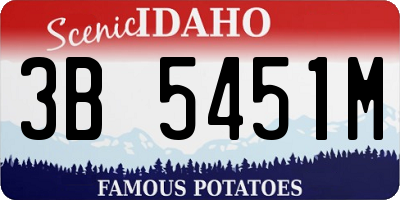 ID license plate 3B5451M