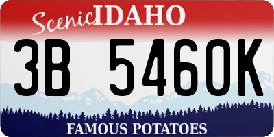 ID license plate 3B5460K