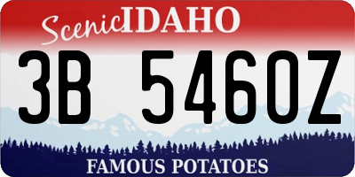 ID license plate 3B5460Z