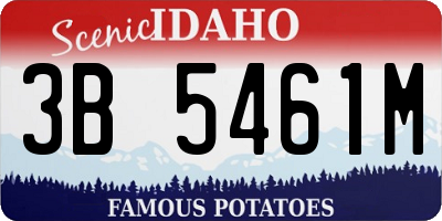 ID license plate 3B5461M