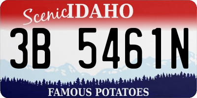ID license plate 3B5461N