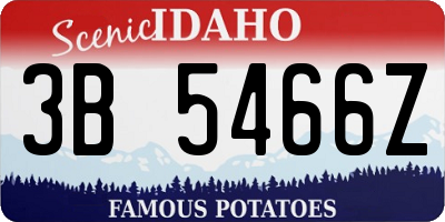 ID license plate 3B5466Z