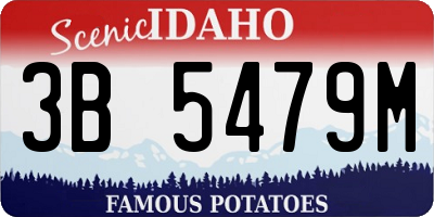 ID license plate 3B5479M