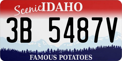 ID license plate 3B5487V