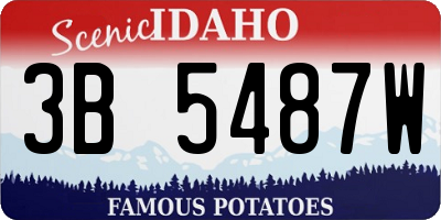 ID license plate 3B5487W
