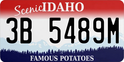 ID license plate 3B5489M