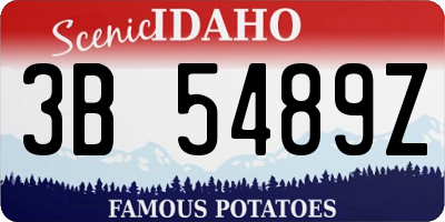 ID license plate 3B5489Z
