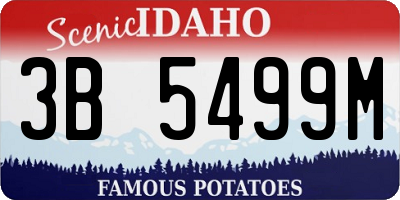 ID license plate 3B5499M