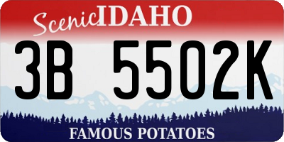 ID license plate 3B5502K