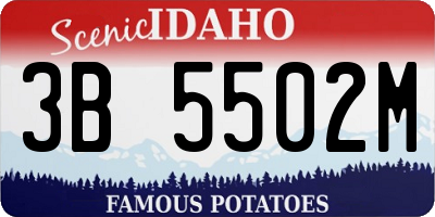 ID license plate 3B5502M