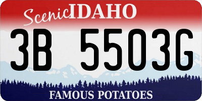 ID license plate 3B5503G