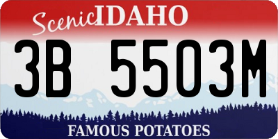 ID license plate 3B5503M