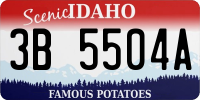 ID license plate 3B5504A