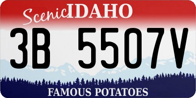ID license plate 3B5507V
