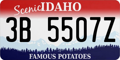 ID license plate 3B5507Z