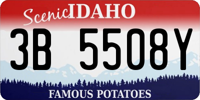 ID license plate 3B5508Y