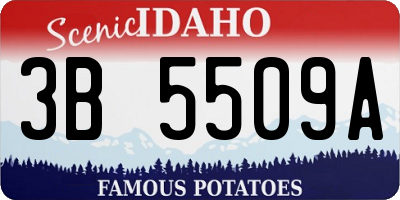 ID license plate 3B5509A