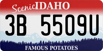 ID license plate 3B5509U