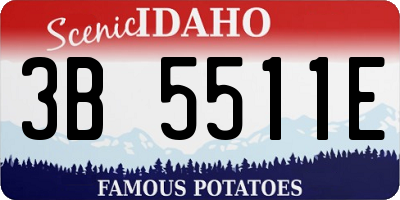 ID license plate 3B5511E