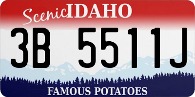 ID license plate 3B5511J