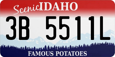ID license plate 3B5511L