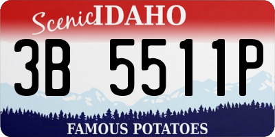 ID license plate 3B5511P