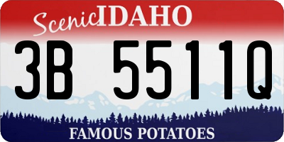 ID license plate 3B5511Q
