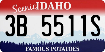 ID license plate 3B5511S