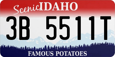 ID license plate 3B5511T