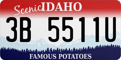 ID license plate 3B5511U