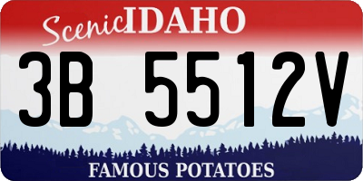 ID license plate 3B5512V
