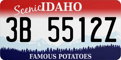 ID license plate 3B5512Z
