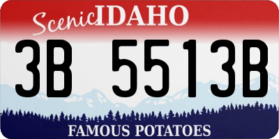ID license plate 3B5513B