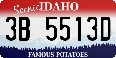ID license plate 3B5513D
