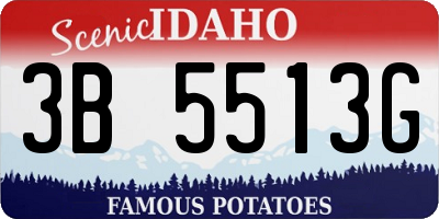 ID license plate 3B5513G