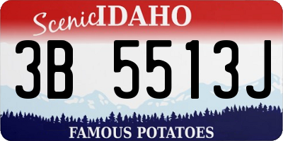 ID license plate 3B5513J