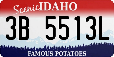 ID license plate 3B5513L