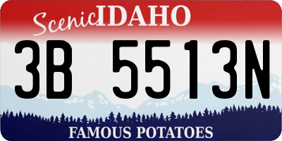 ID license plate 3B5513N