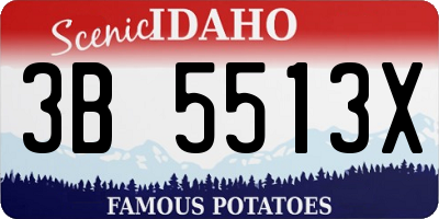 ID license plate 3B5513X